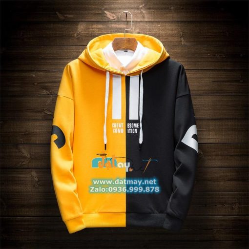 áo hoodie 2 màu