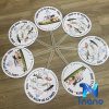 quạt quảng cáo mini bằng nhựa dẻo