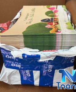 xưởng in catalog giá rẻ tại tp hcm