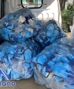 quà tặng gấu bông giá rẻ tại gò vấp