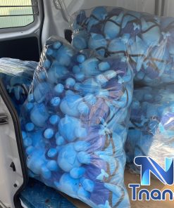 xưởng sản xuất gấu bông theo yêu cầu