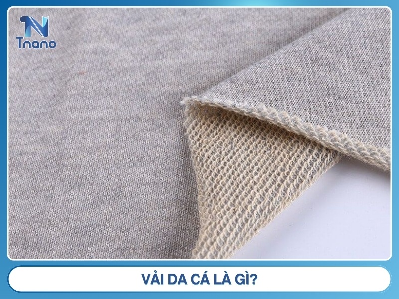 Vải da cá là gì? Tìm hiểu từ A ĐẾN Z về chất liệu da cá Vải da cá là gì?