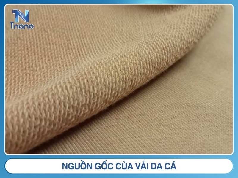 Vải da cá là gì? Tìm hiểu từ A ĐẾN Z về chất liệu da cá Nguồn gốc của vải da cá