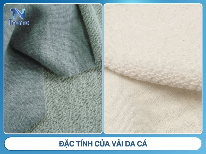 Vải da cá là gì? Tìm hiểu từ A ĐẾN Z về chất liệu da cá Đặc tính của vải da cá