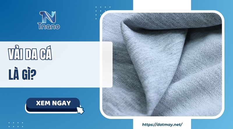 Vải da cá là gì? Tìm hiểu từ A ĐẾN Z về chất liệu da cá Vải da cá là gì? Tìm hiểu từ A ĐẾN Z về chất liệu da cá