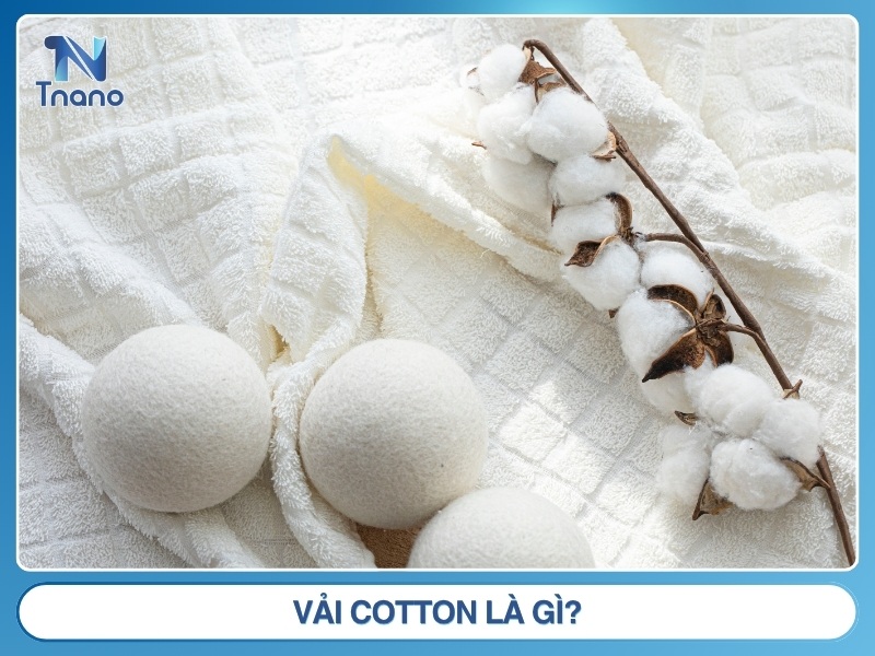 Vải cotton là gì? Ưu nhược điểm PHÂN LOẠI & cách nhận biết Vải cotton là gì?