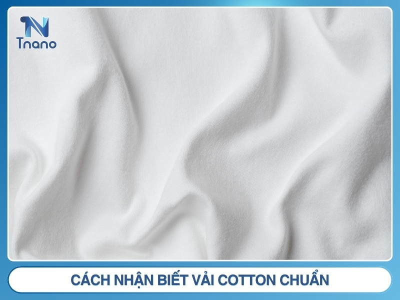 Vải cotton là gì? Ưu nhược điểm PHÂN LOẠI & cách nhận biết Cách nhận biết vải cotton chuẩn