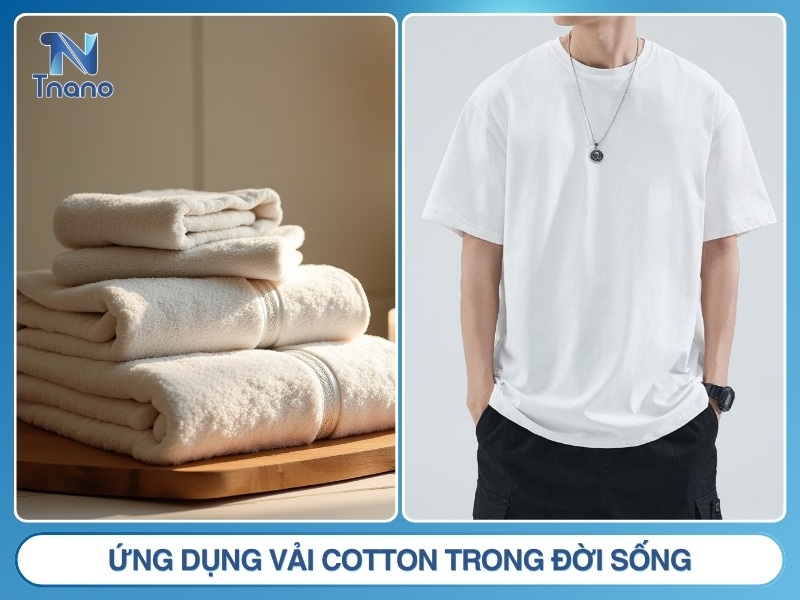Vải cotton là gì? Ưu nhược điểm PHÂN LOẠI & cách nhận biết Ứng dụng vải cotton trong đời sống