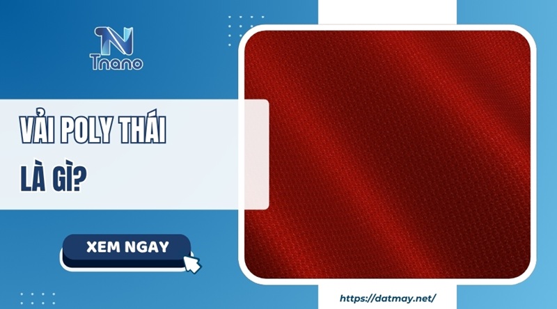 Vải Poly Thái là gì? Nguồn gốc ĐẶC ĐIỂM & phân loại